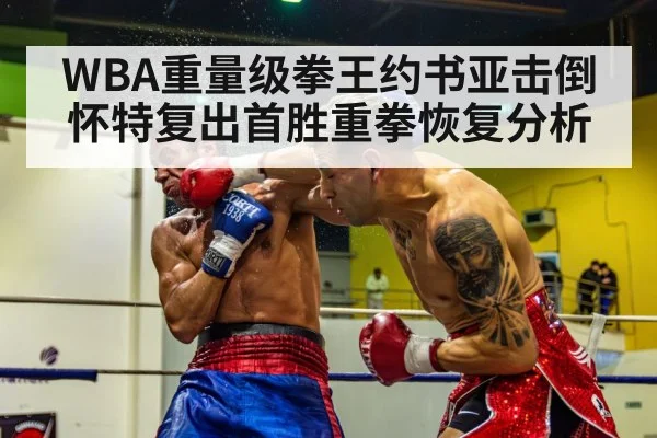WBA重量级拳王约书亚击倒怀特复出首胜重拳恢复分析
